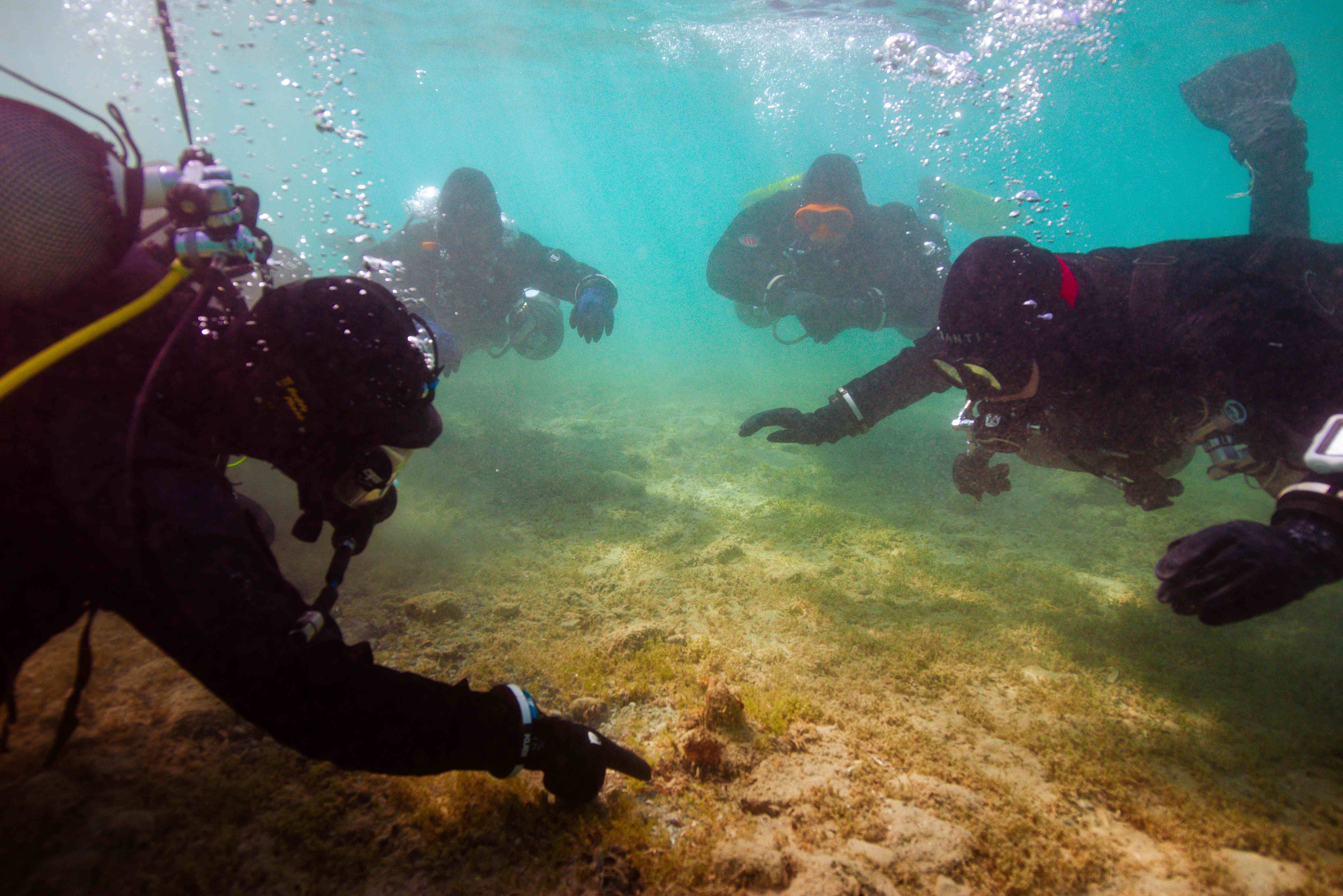 Diving Excursions