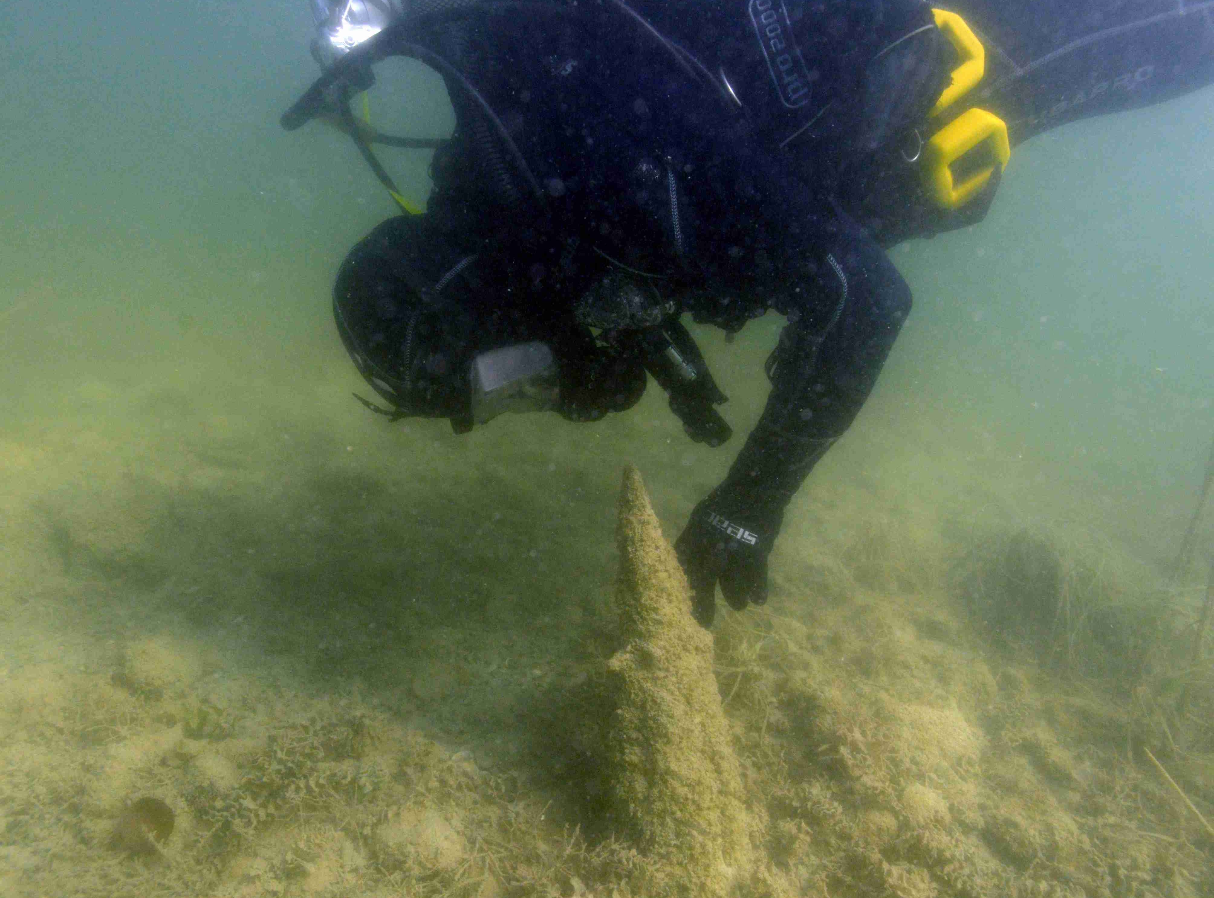 Taucher dokumentieren Unterwasserfunde
